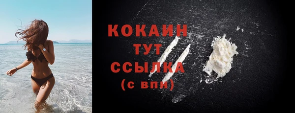 apvp Богданович