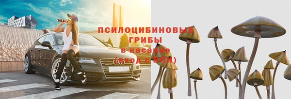 бошки Белокуриха