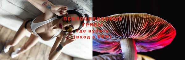 бошки Белокуриха