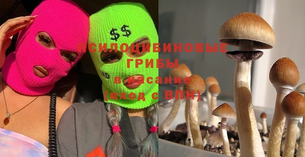прущая мука Богородск