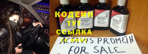 бошки Белокуриха
